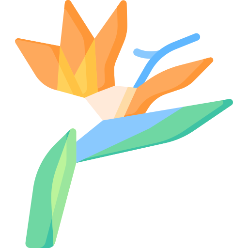 Bird of paradise