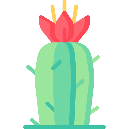 Cactus flower