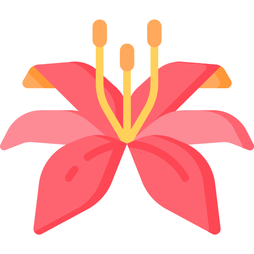 Lily